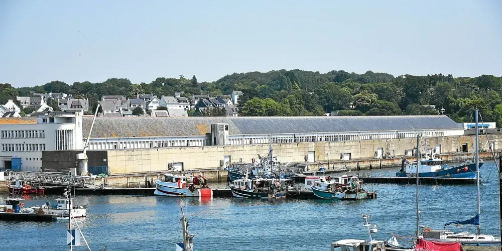 Criée de Concarneau